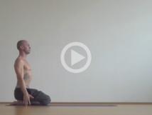 Hatha Yoga Flow Fusion with Julio Papi 